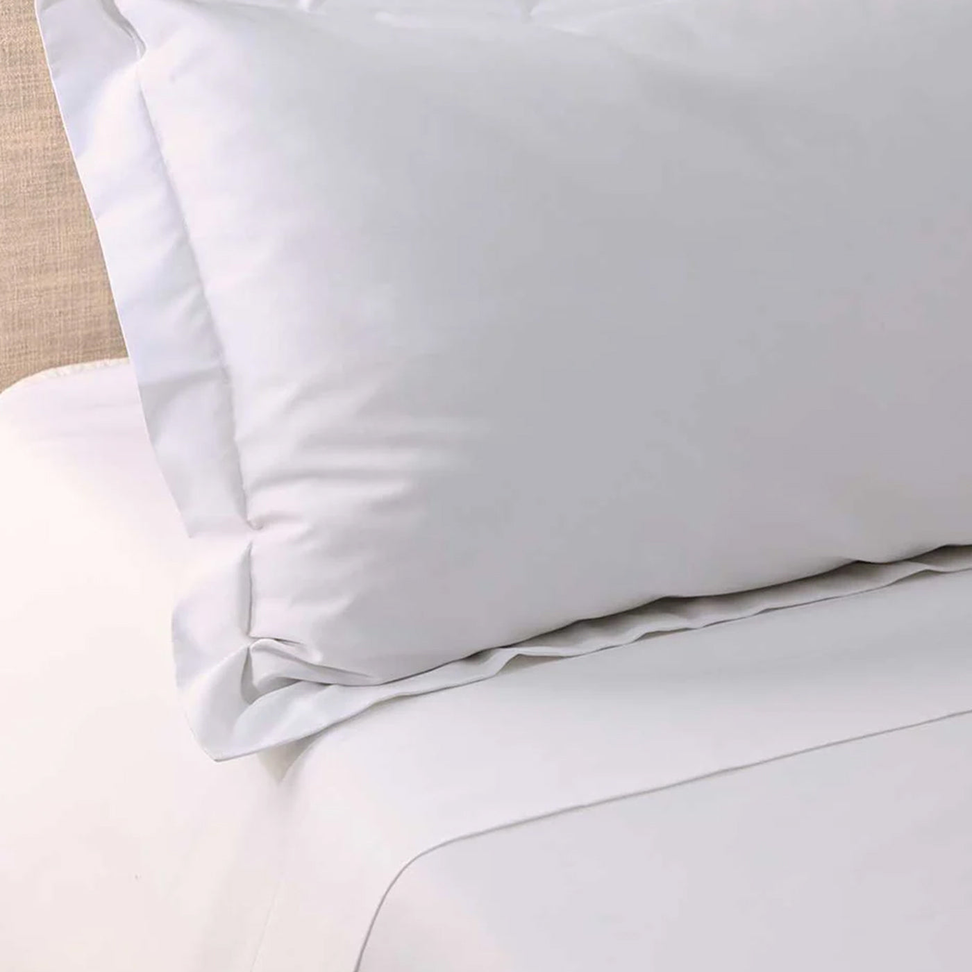 Drap plat en coton 300 fils