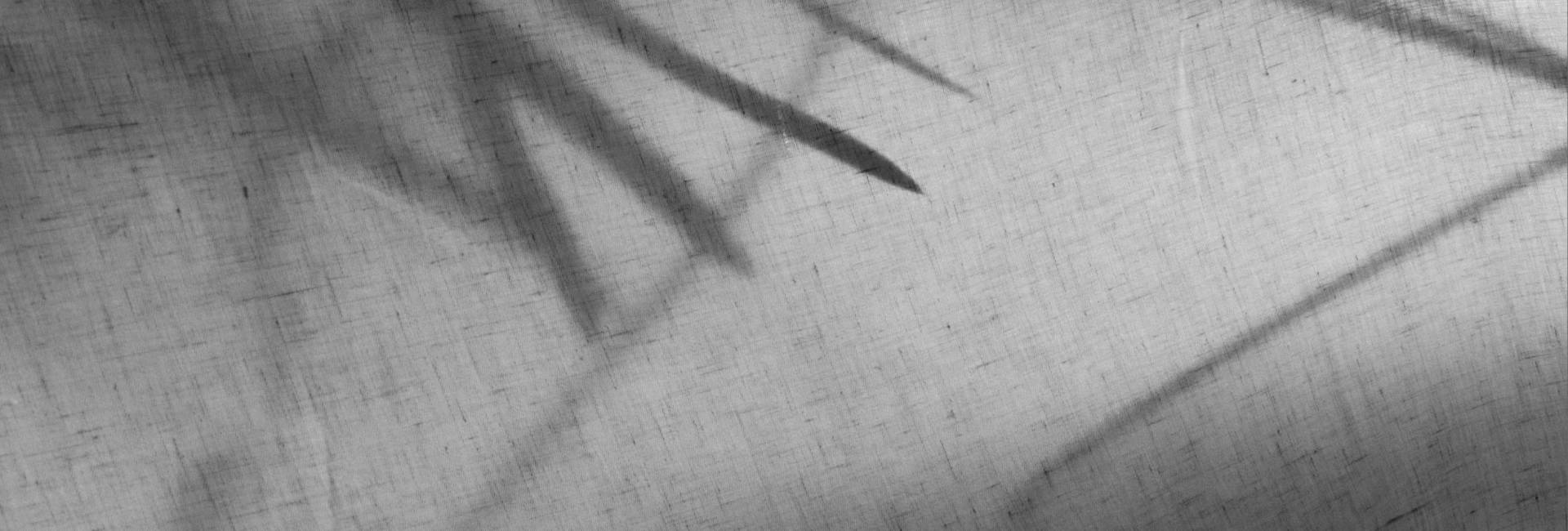 Close-up of a textured surface with shadows of leaves