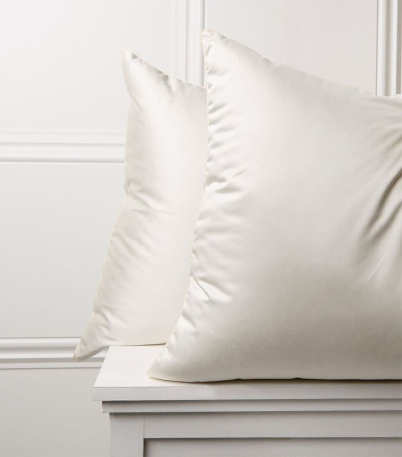 L'oreiller Arctique. Duvet De Canard Collant Arctique Doux