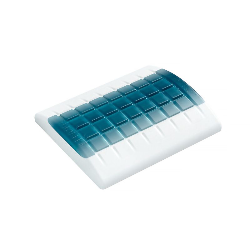 Lumbar Support